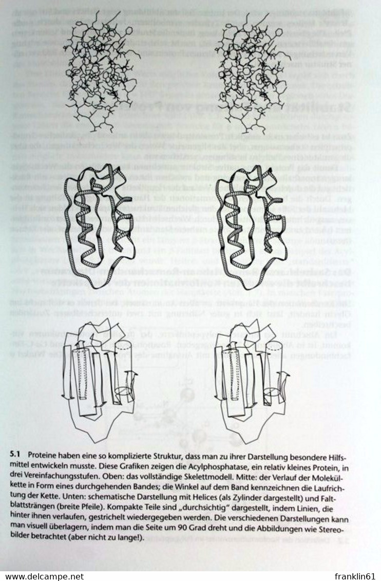 Bioinformatik. Eine Einführung. - Técnico