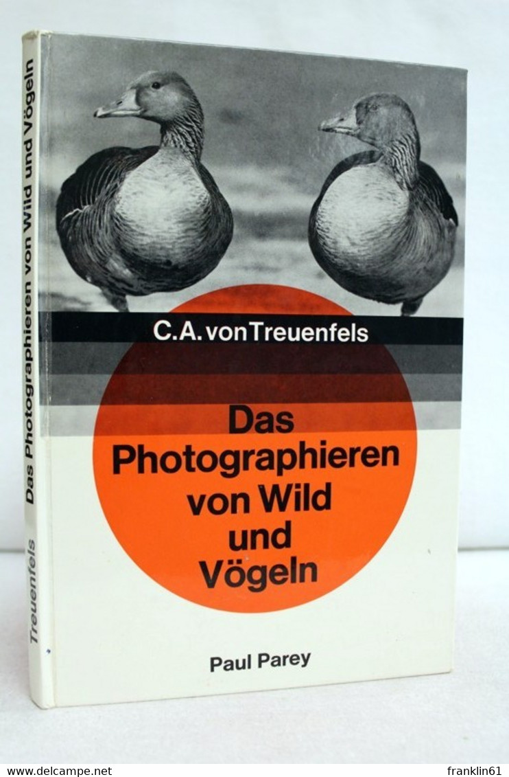 Das Photographieren Von Wild Und Vögeln. - Photography