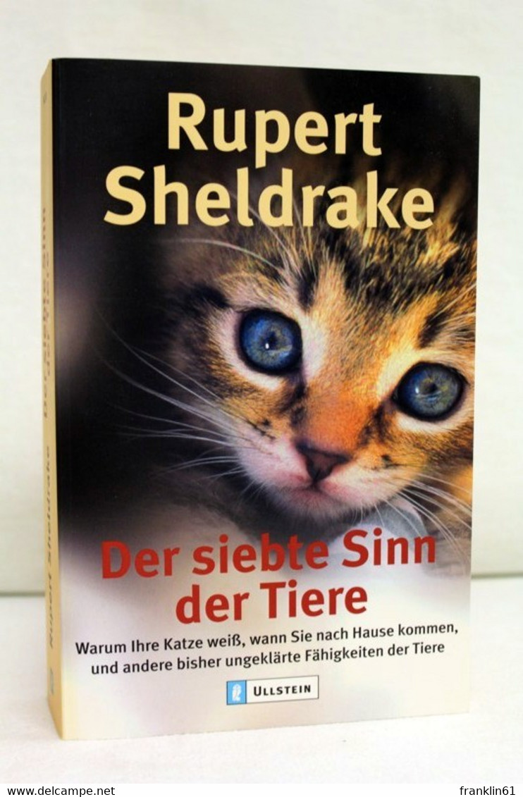 Der Siebte Sinn Der Tiere. Warum Eine Katze Weiß, Wann Sie Nach Hause Kommen, Und Andere Bisher Unerklärte Fäh - Tierwelt