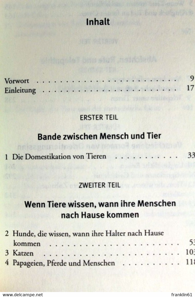 Der Siebte Sinn Der Tiere. Warum Eine Katze Weiß, Wann Sie Nach Hause Kommen, Und Andere Bisher Unerklärte Fäh - Animales