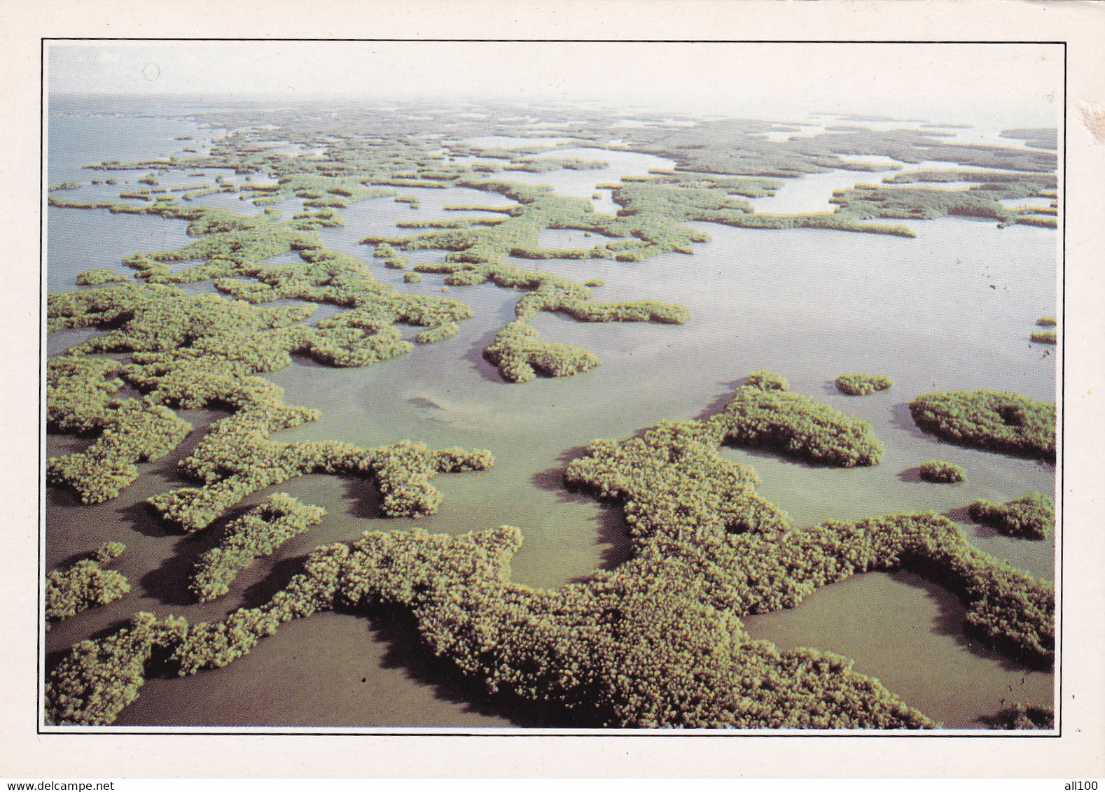 A20043 - FLORIDA THE EVERGLADES NATIONAL PARK USA UNITED STATES OF AMERICA GOHIER EXPLORER IMPRIME EN CEE - Parques Nacionales USA