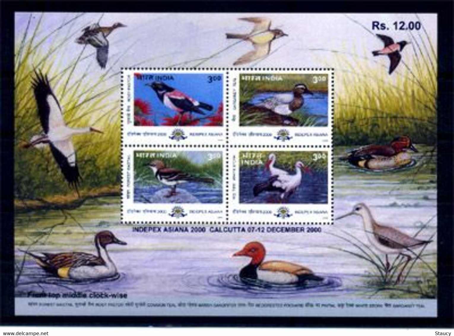 INDIA 2000 Indepex Asiana 2000 International Philatelic Exhibition - BIRDS 4v Miniature Sheet MNH, P.O Fresh & Fine - Ganzen