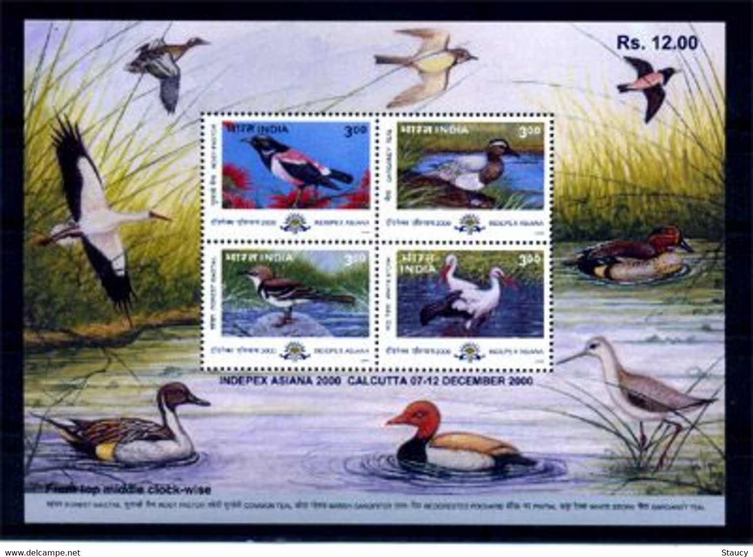 INDIA 2000 Indepex Asiana 2000 International Philatelic Exhibition - BIRDS 4v Miniature Sheet MNH, P.O Fresh & Fine - Cisnes