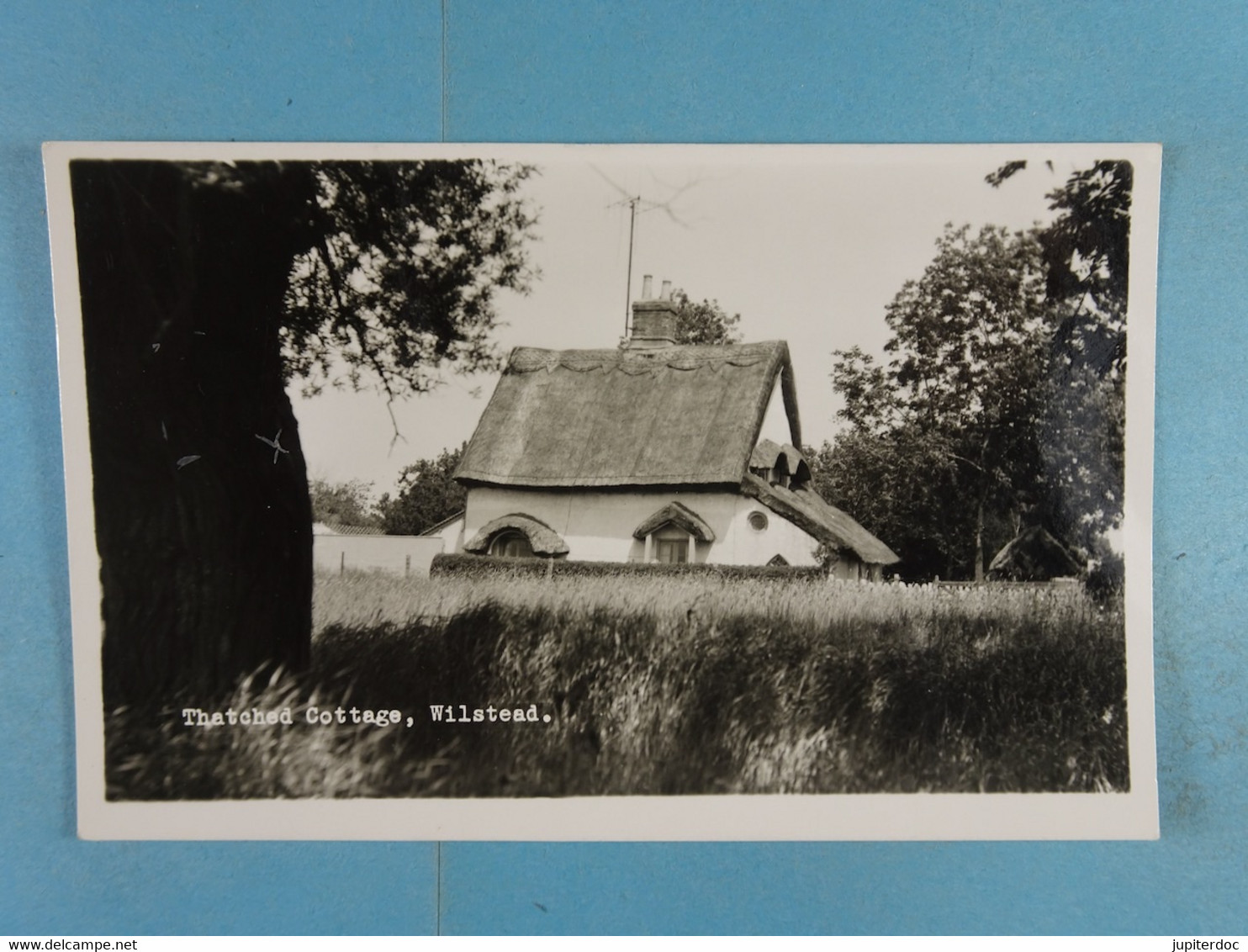 Thatched Cottage, Wilstead - Autres & Non Classés