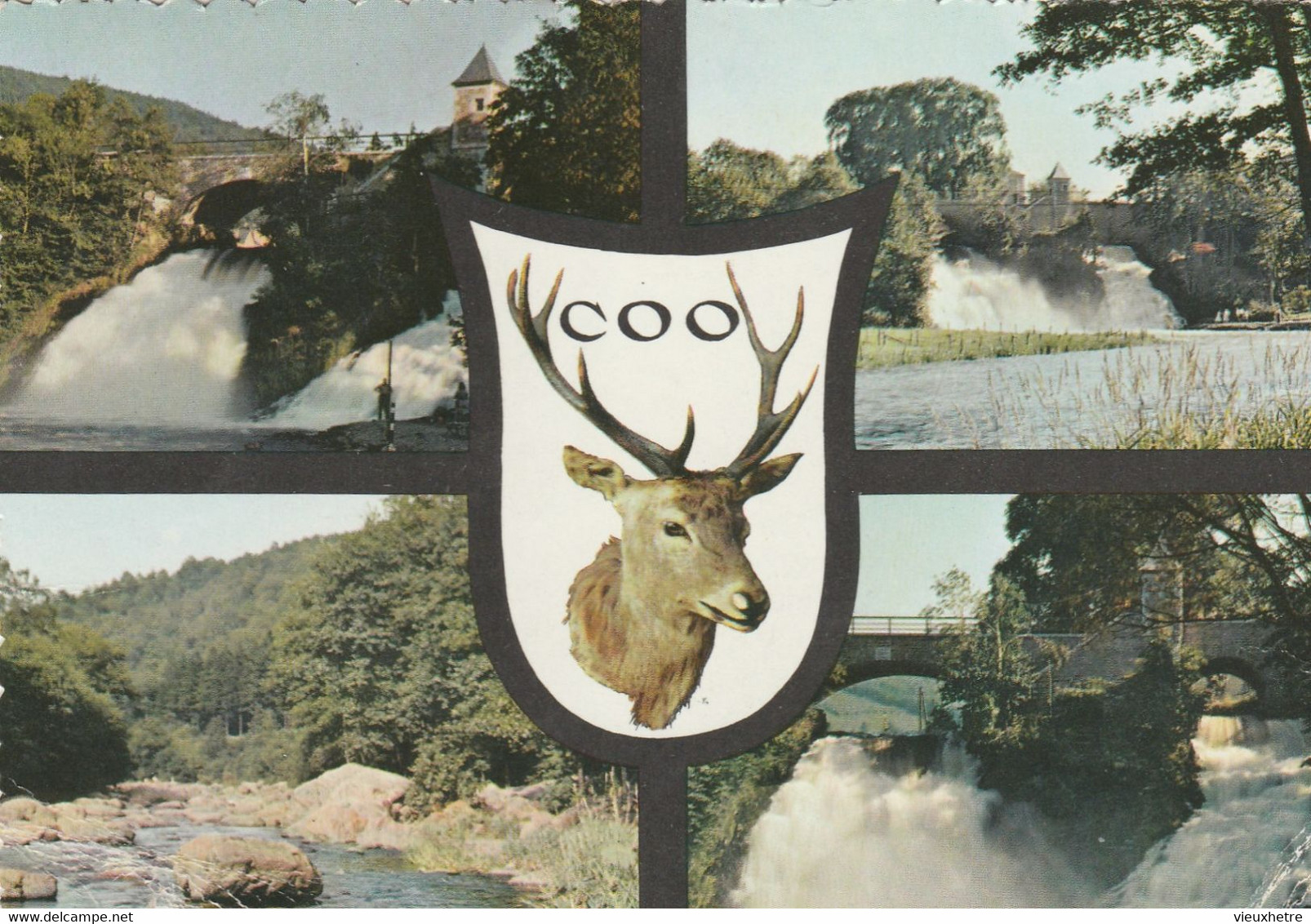 COO - Stavelot