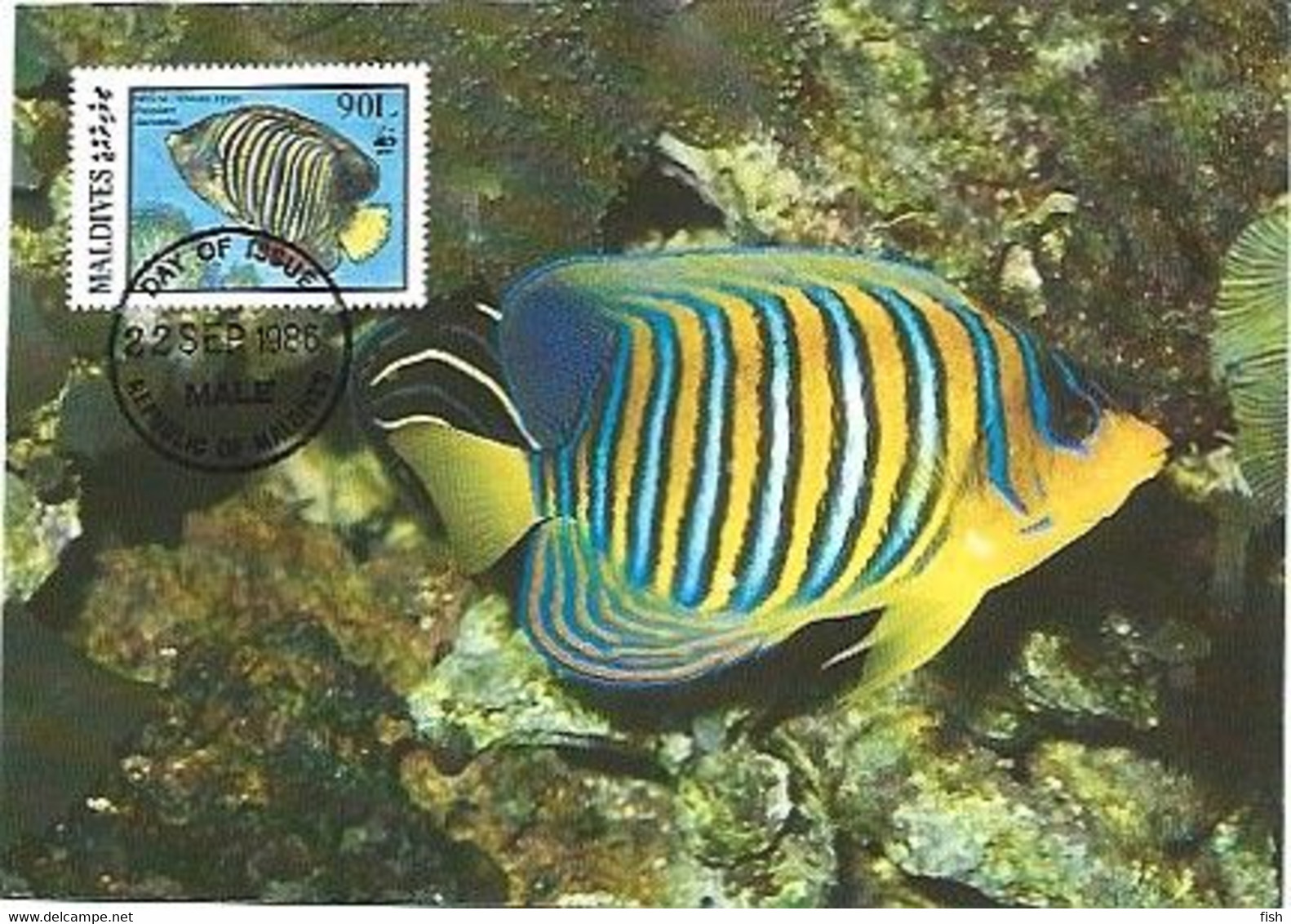 Maldives & Maximum Card, WWF, Regal Angelfish, Pygoplites Diacanthus, Male 1986 (9879) - Maldiven