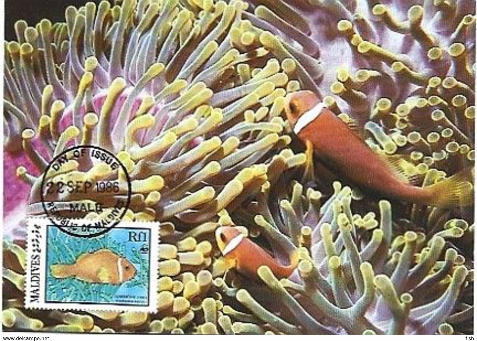 Maldives & Maximum Card, WWF Anemone Fish, Amphiprioninae, Male 1986 (9879) - Maldive