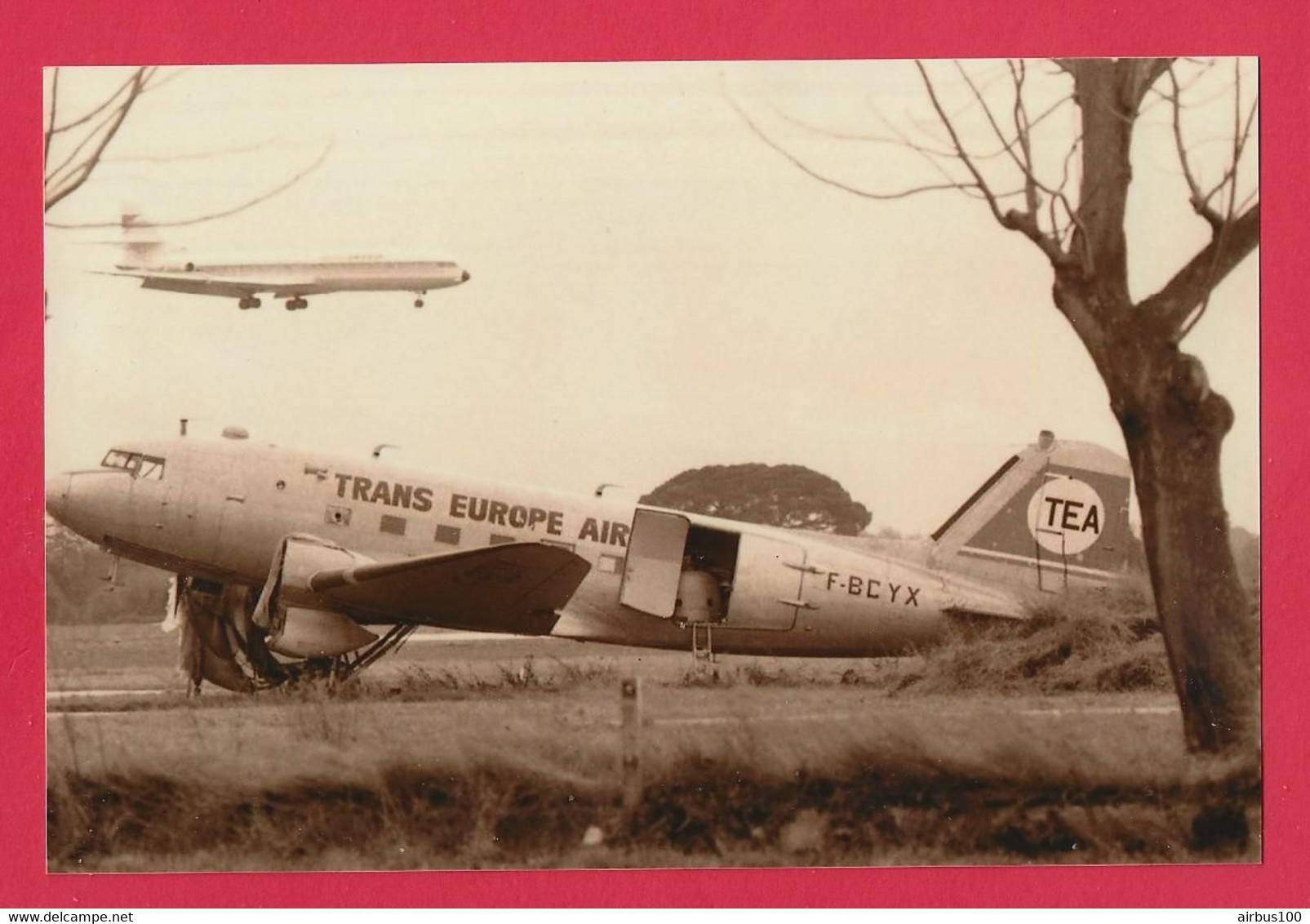 BELLE PHOTO REPRODUCTION AVION PLANE FLUGZEUG - TEA DOUGLAS DC3 TRANS EUROPE AIR LINE - DC 3 - Aviación