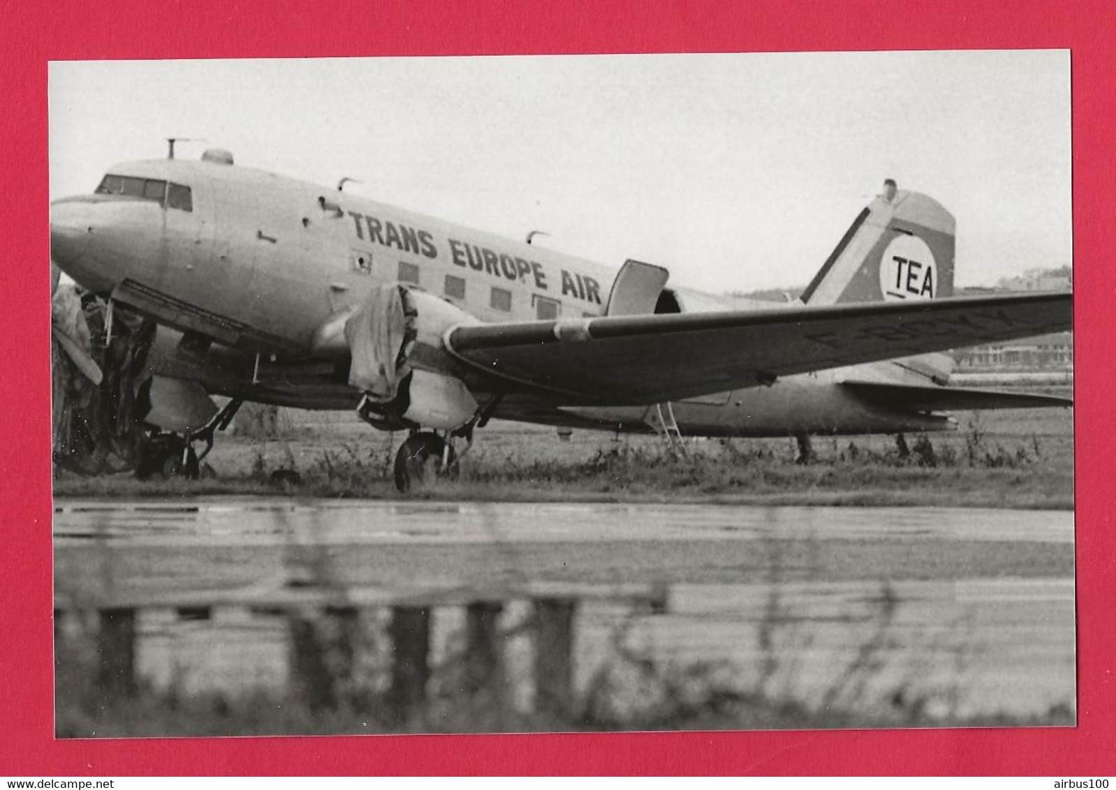 BELLE PHOTO REPRODUCTION AVION PLANE FLUGZEUG - TEA DOUGLAS DC3 TRANS EUROPE AIR LINE - DC 3 - Aviation