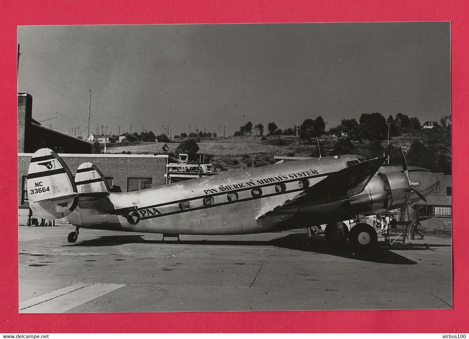 BELLE PHOTO REPRODUCTION AVION PLANE FLUGZEUG - PAA PAN AMERICAN AIRWAYS SYSTEM - Luchtvaart