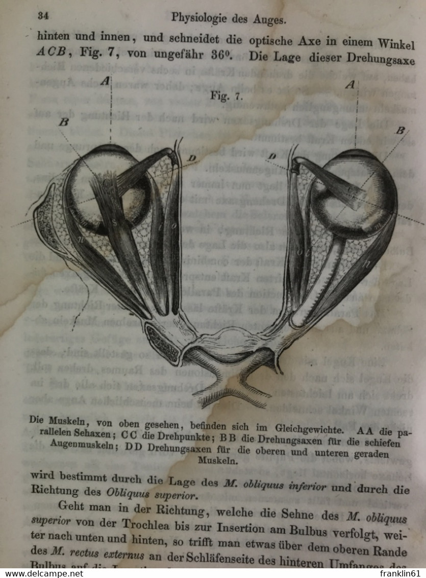 Lehrbuch der Ophtalmologie. 1. Band (von 2).