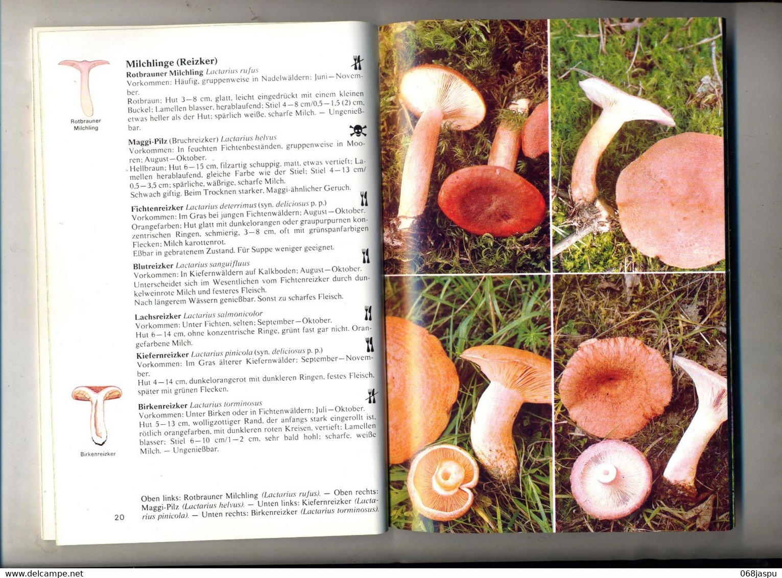 Guide Les Champignons De Kult Bibliothek Kosmos - Natuur