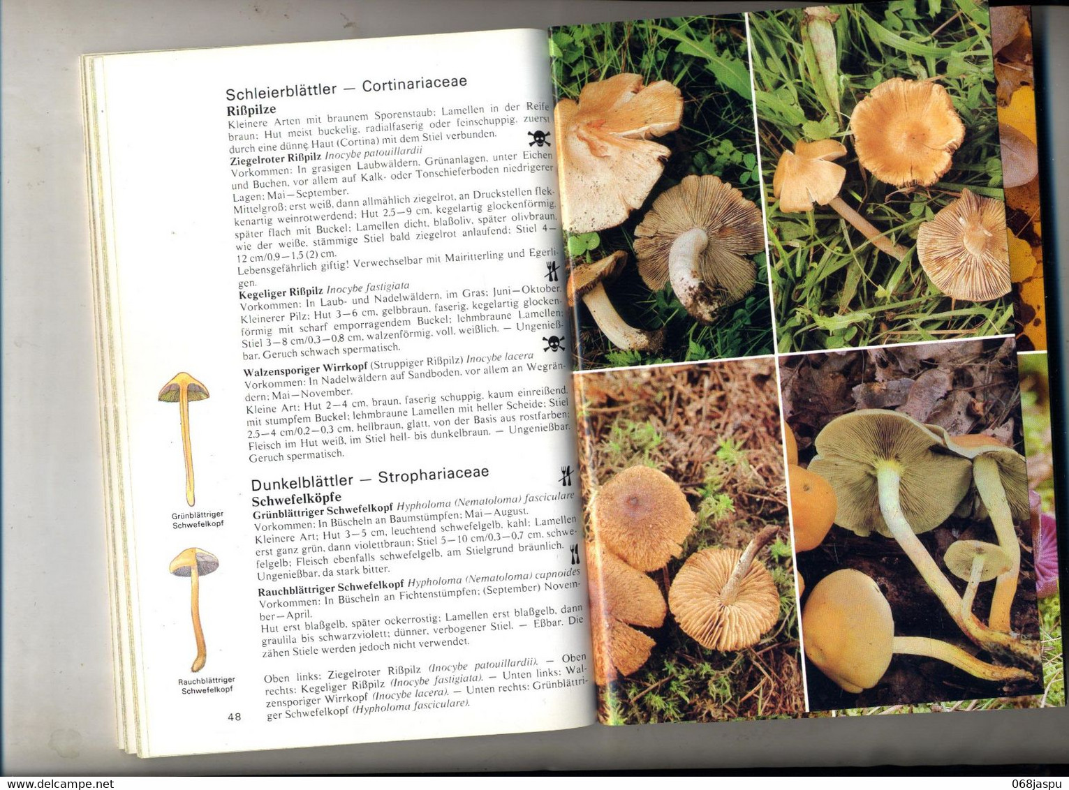 Guide Les Champignons De Kult Bibliothek Kosmos - Nature