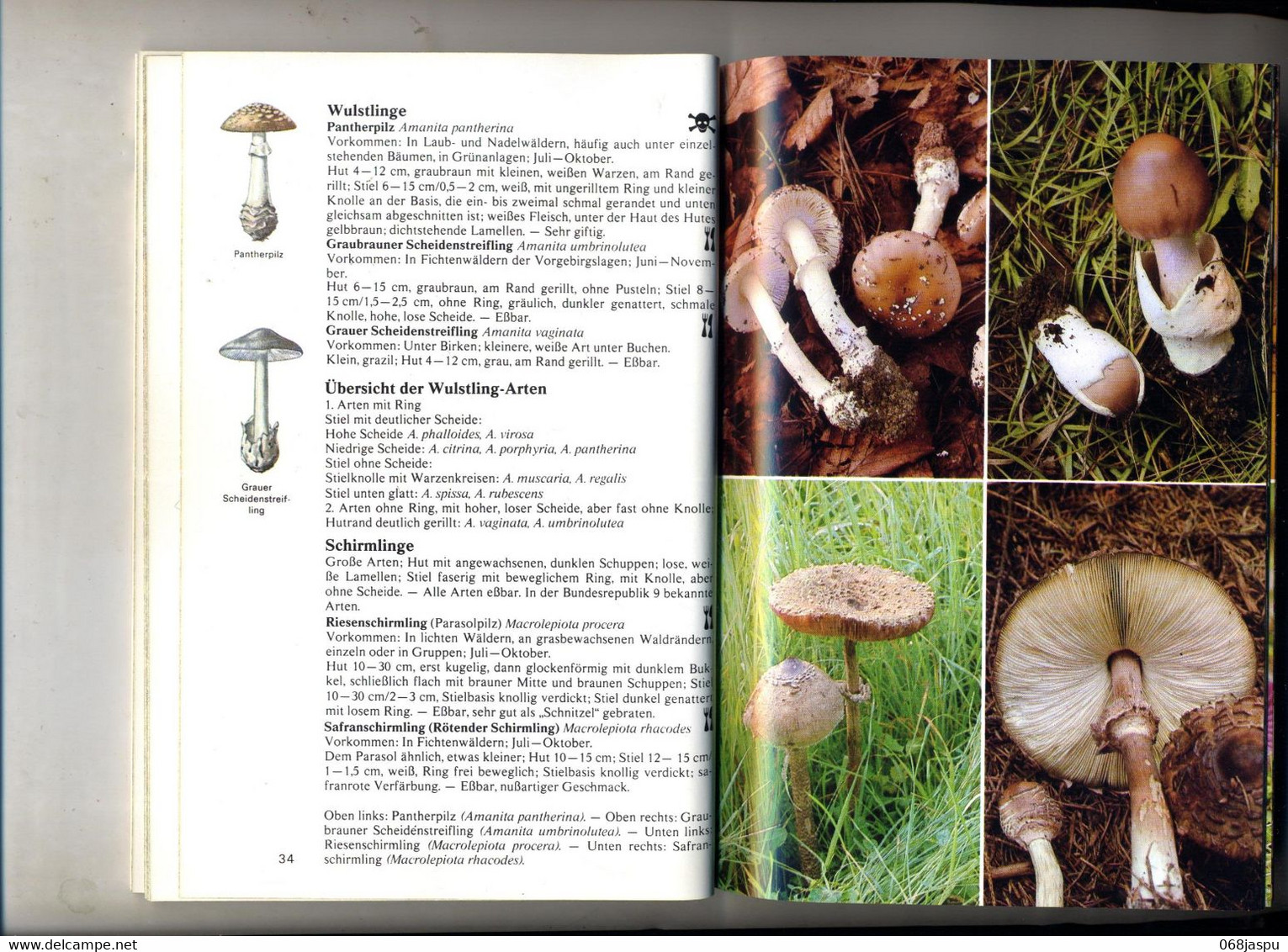 guide les champignons de kult bibliothek kosmos