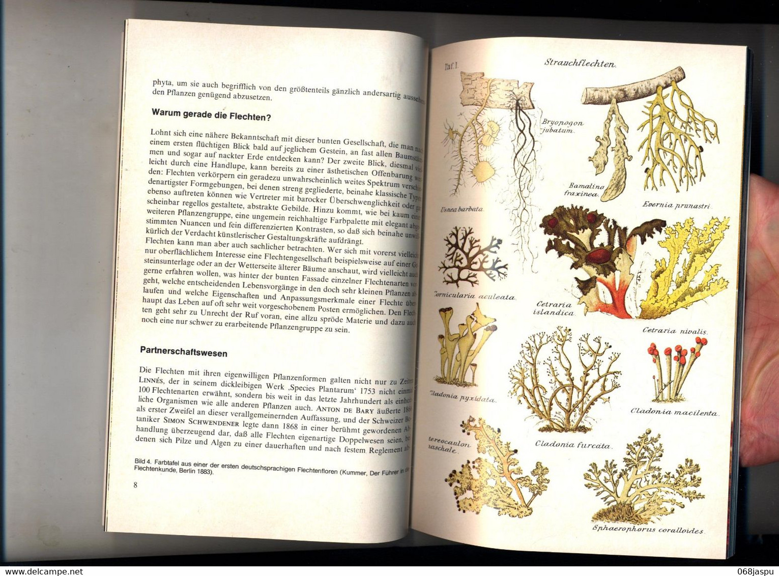 Guide Les Lichens  De Feige Kremer  Bibliothek Kosmos - Nature