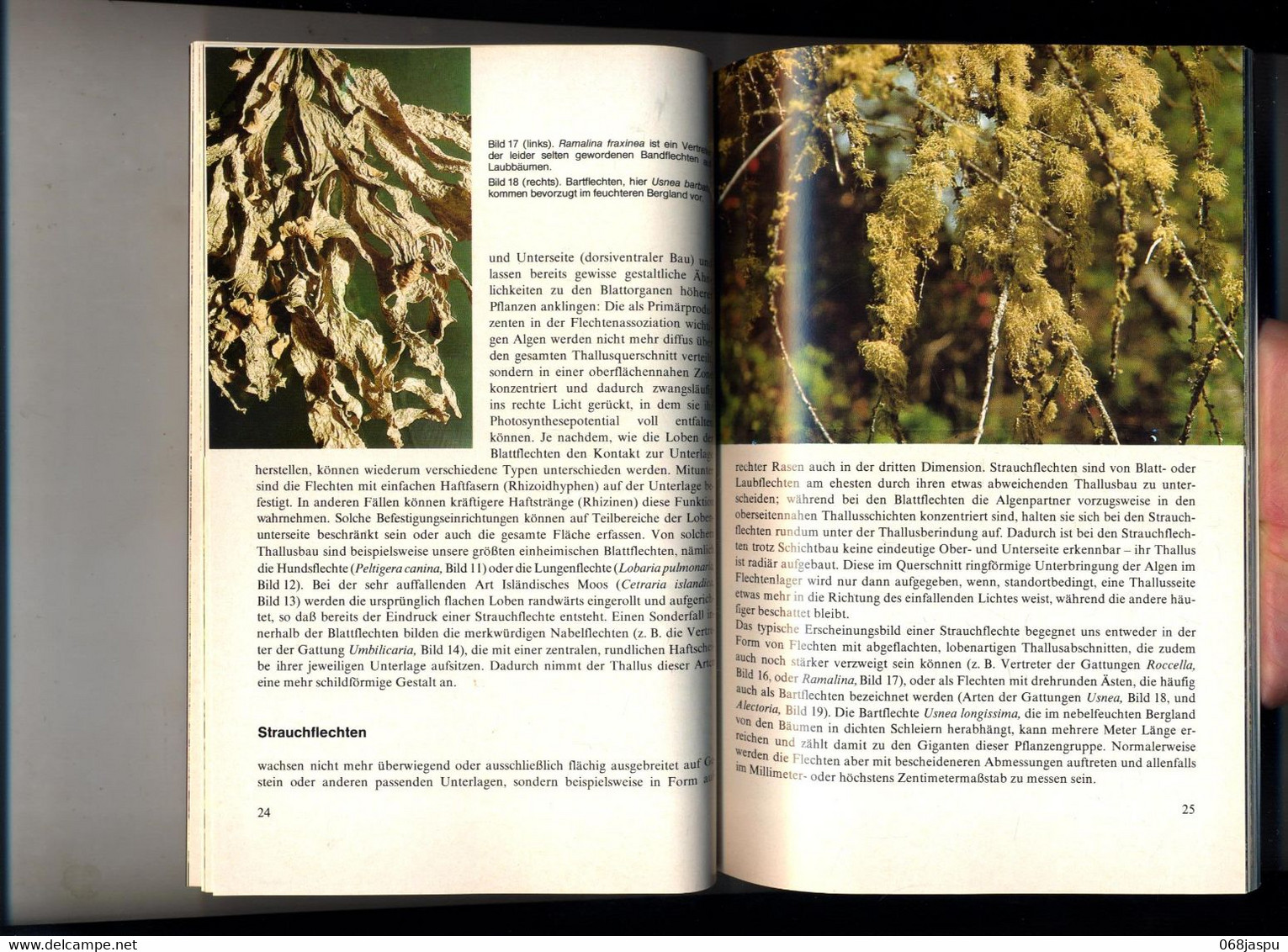 Guide Les Lichens  De Feige Kremer  Bibliothek Kosmos - Natuur