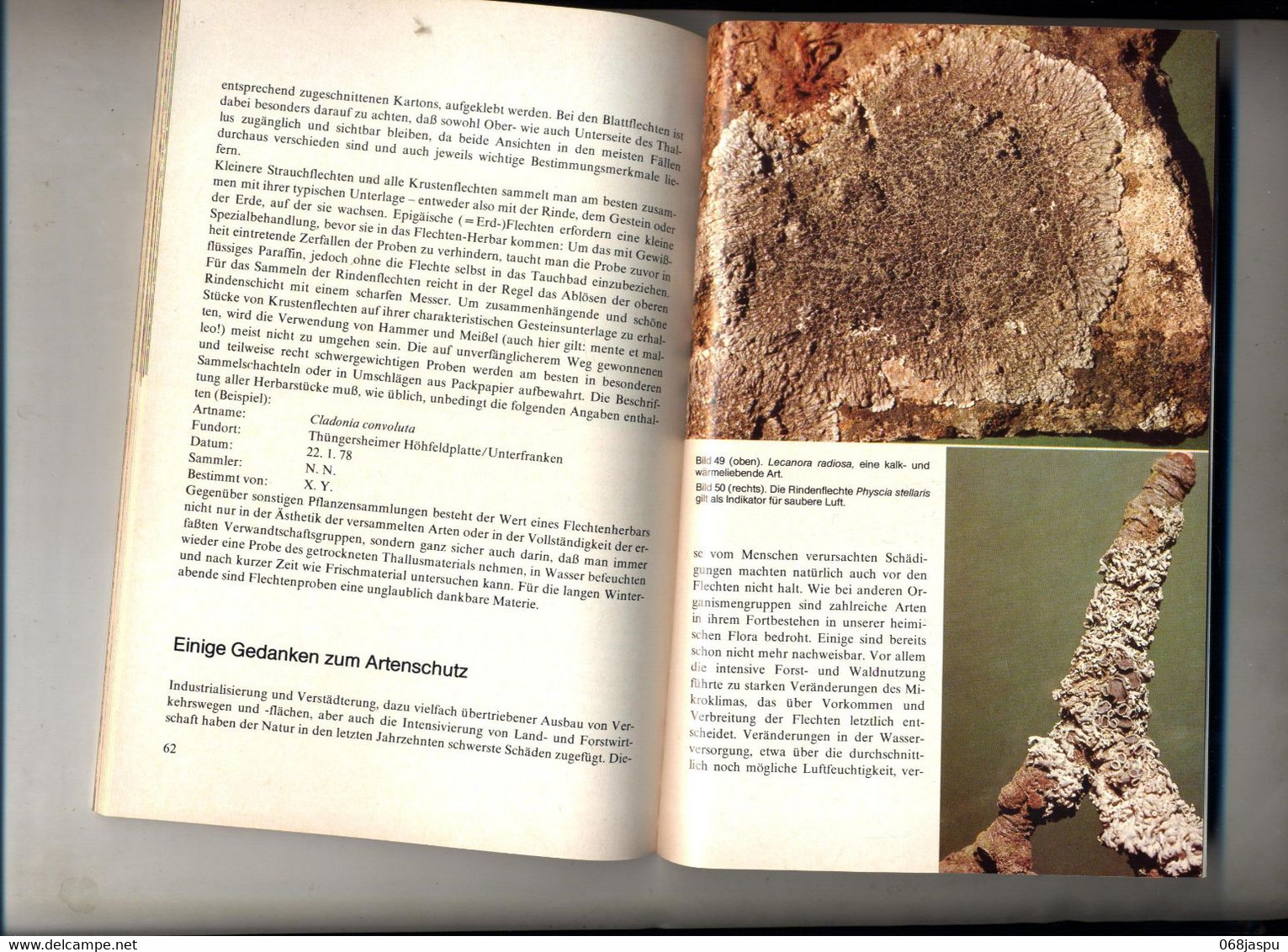 Guide Les Lichens  De Feige Kremer  Bibliothek Kosmos - Botanik