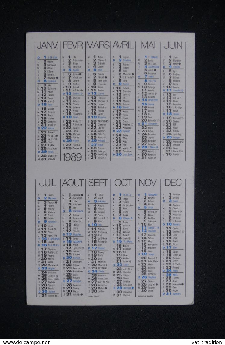 CALENDRIERS - Calendrier De 1989 ( Érotique )  - L 133094 - Small : 1981-90