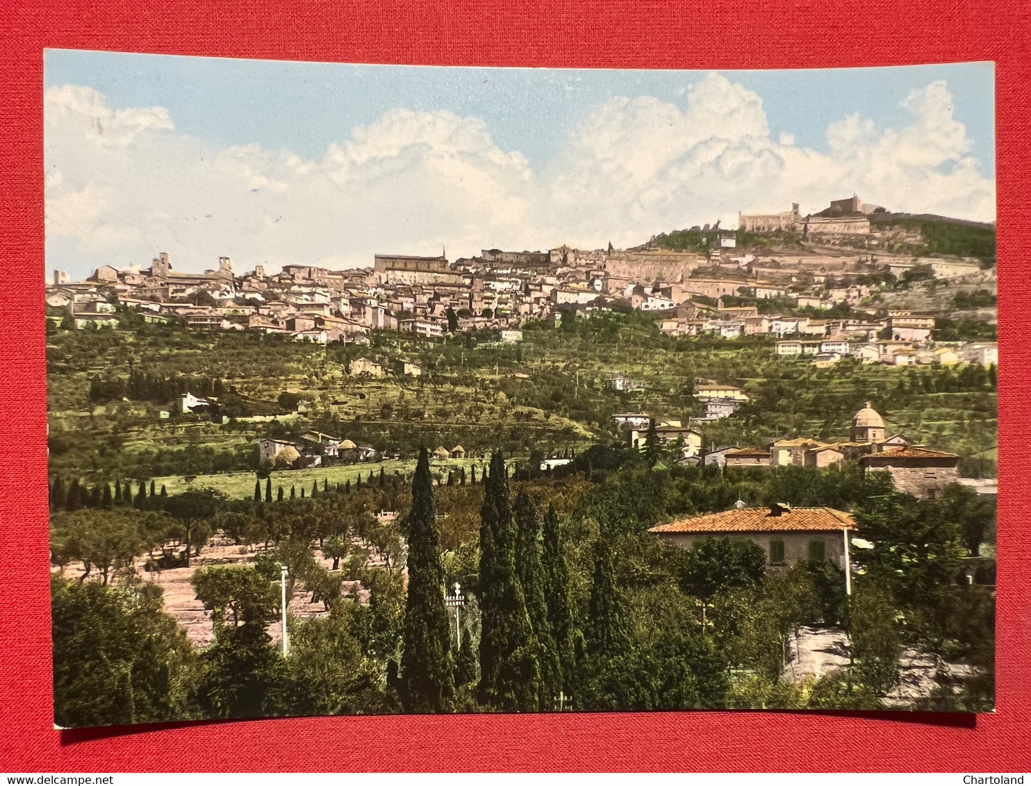 Cartolina - Cortona ( Arezzo ) - Città Etrusca - Panorama - 1963 - Arezzo