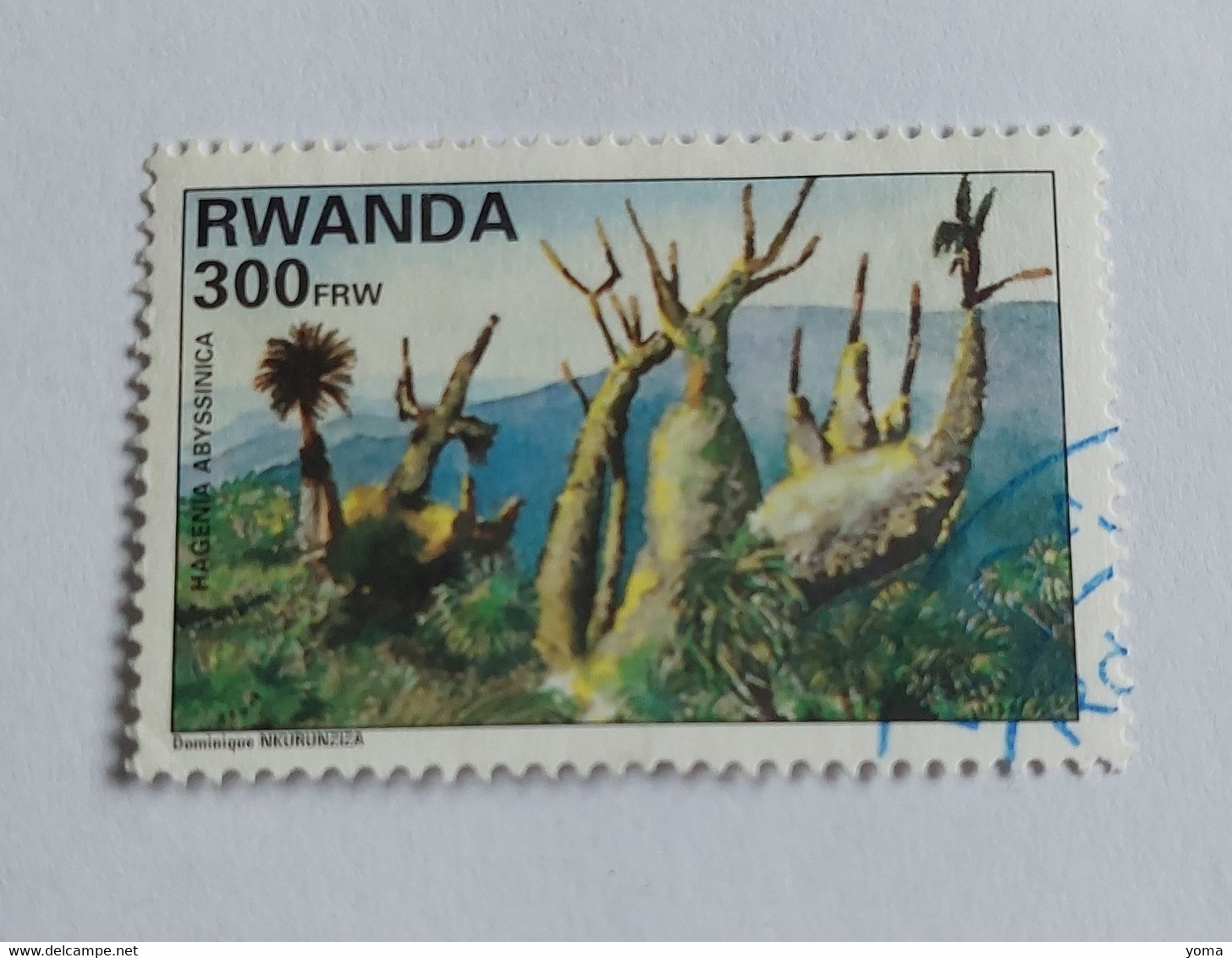 N° 1331      Hagenia Abyssinica  -  Arbre Africain - Used Stamps