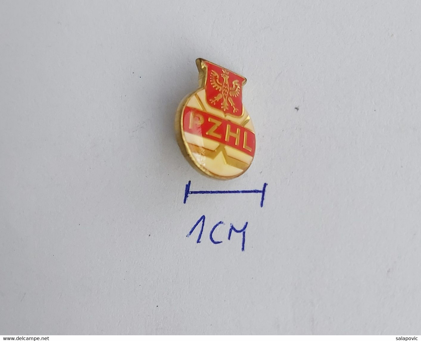 PZHL Poland Ice Hockey Federation  Association Union PINS A10/8 - Sports D'hiver