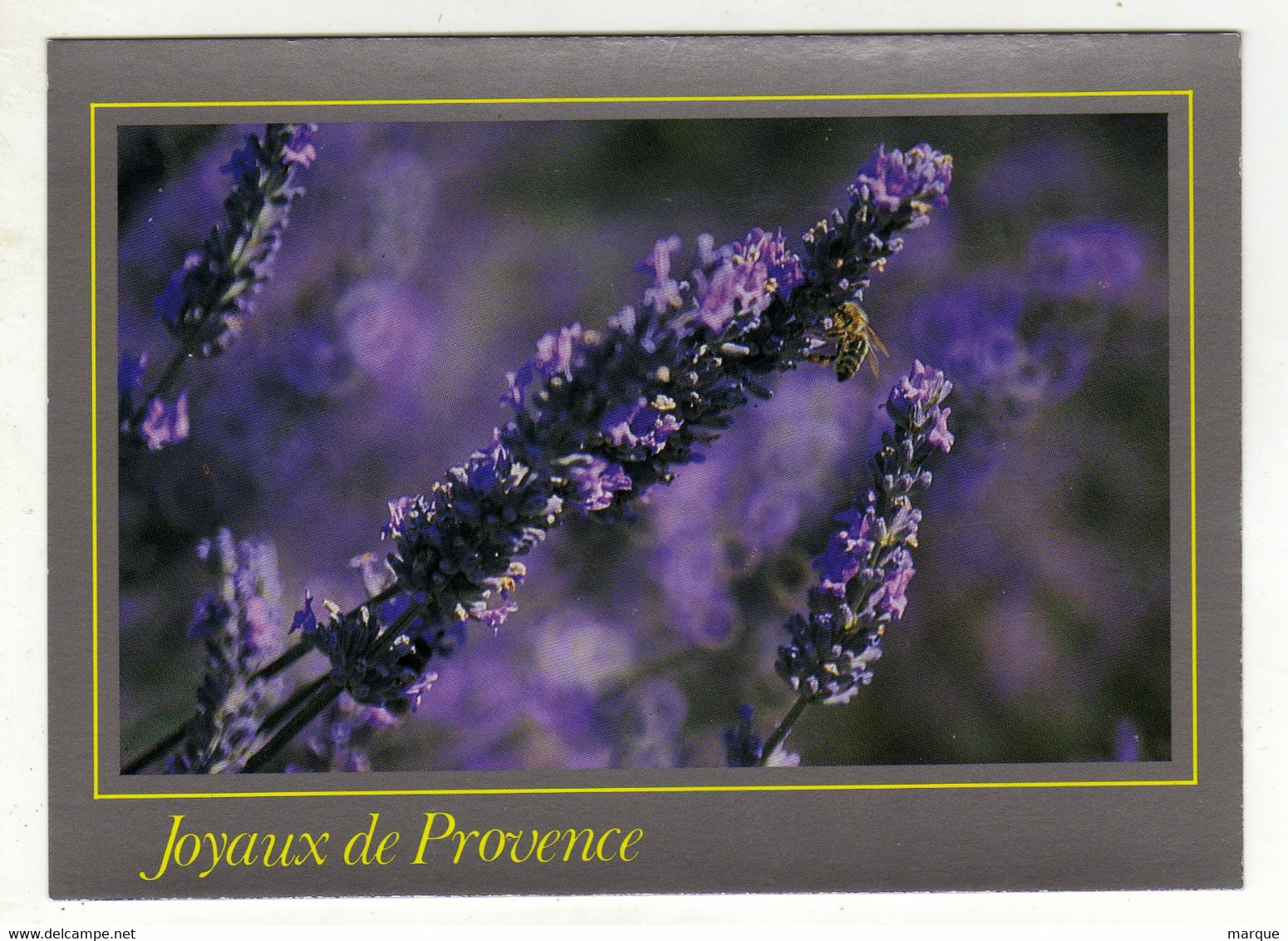 Cpm N° 6046 Joyaux De Provence Fleurs De Lavande - Provence-Alpes-Côte D'Azur