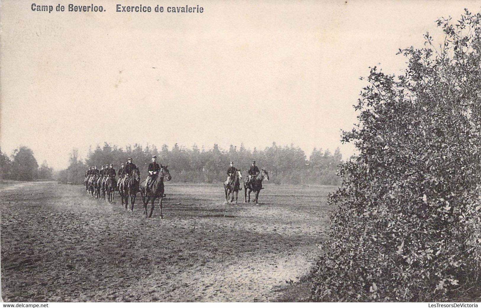 CPA MILITARIAT - CAMP De BEVERLOO - Exercice De Cavalerie - Manoeuvres