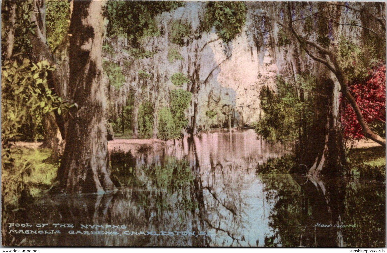 South Carolina Charleston Magnolia Gardens Pool Of The Nymphs Handcolored Albertype - Charleston