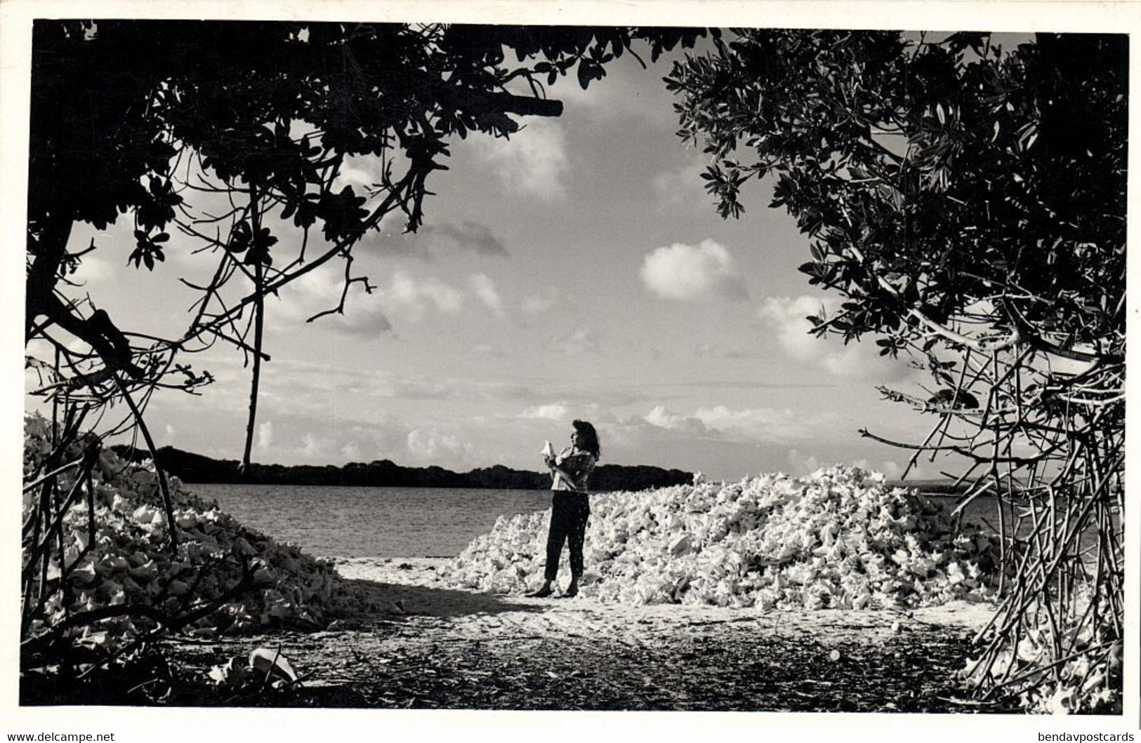 Bonaire, N.A., Heap Of Conch Shells (1950s) Foto Mayer RPPC Postcard - Bonaire