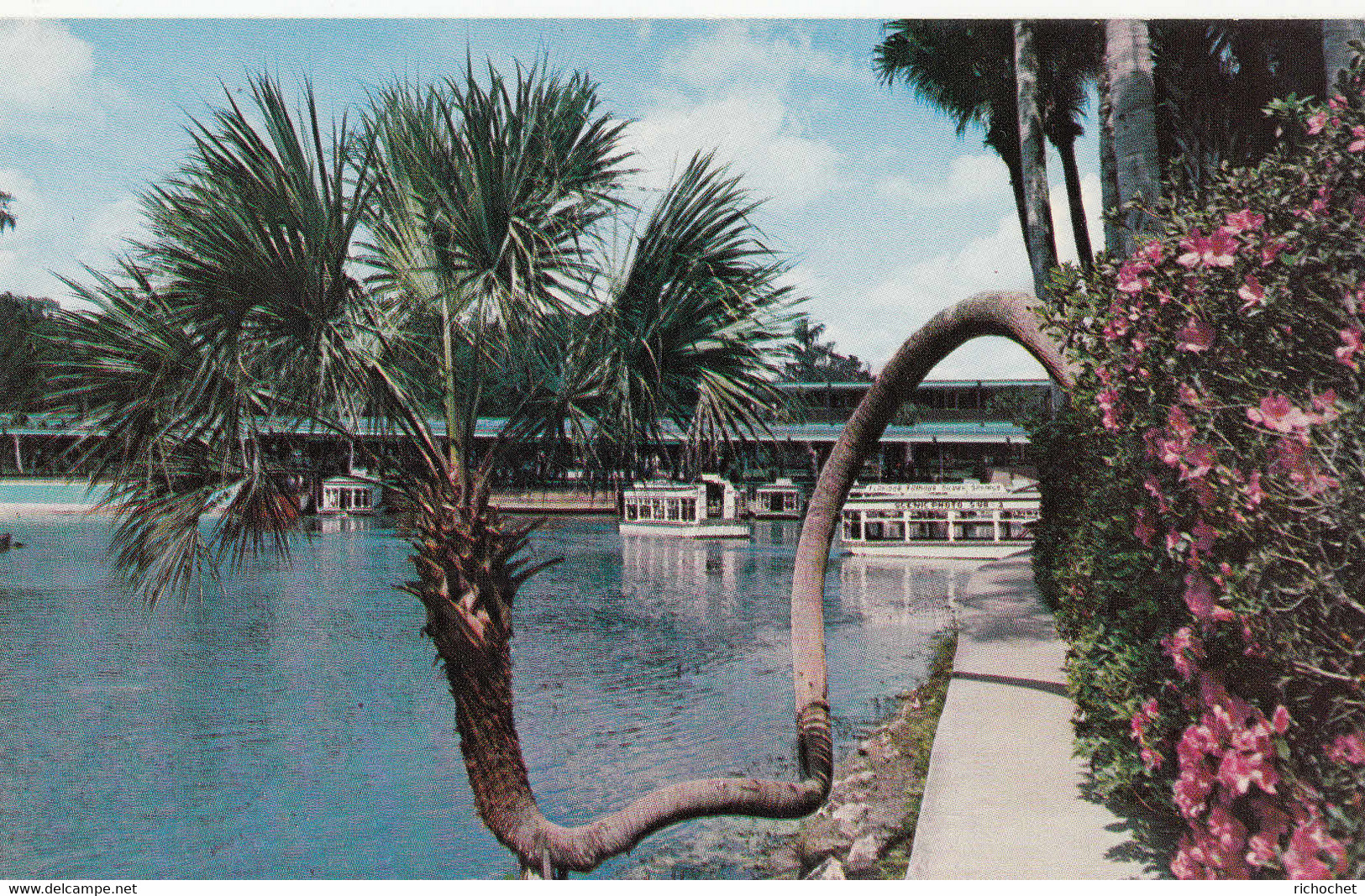 SILVER SPRINGS - Handsome New Building And Glass Bottom Boats - Silver Springs