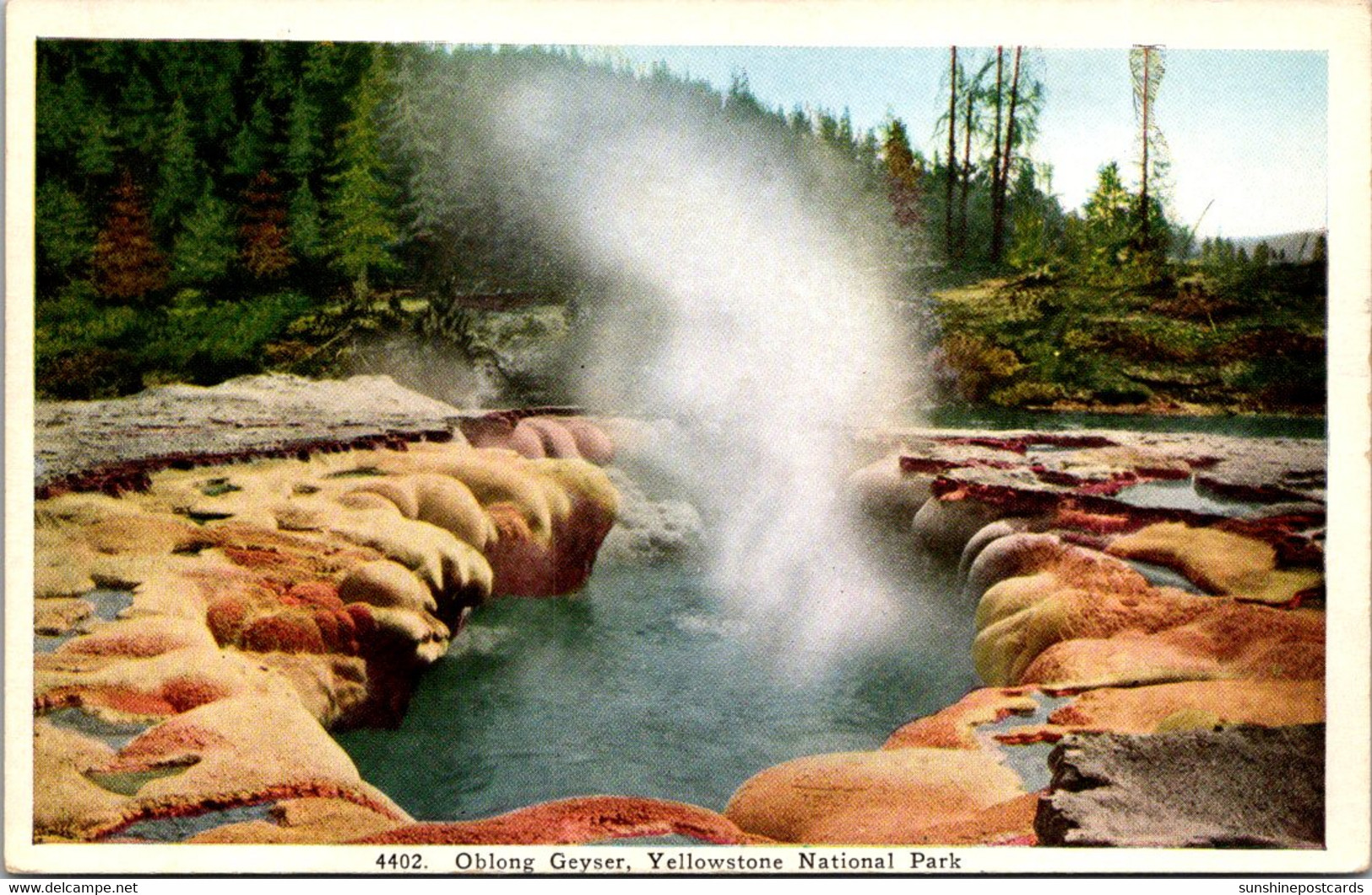 Yellowstone National Park Oblong Geyser - USA National Parks