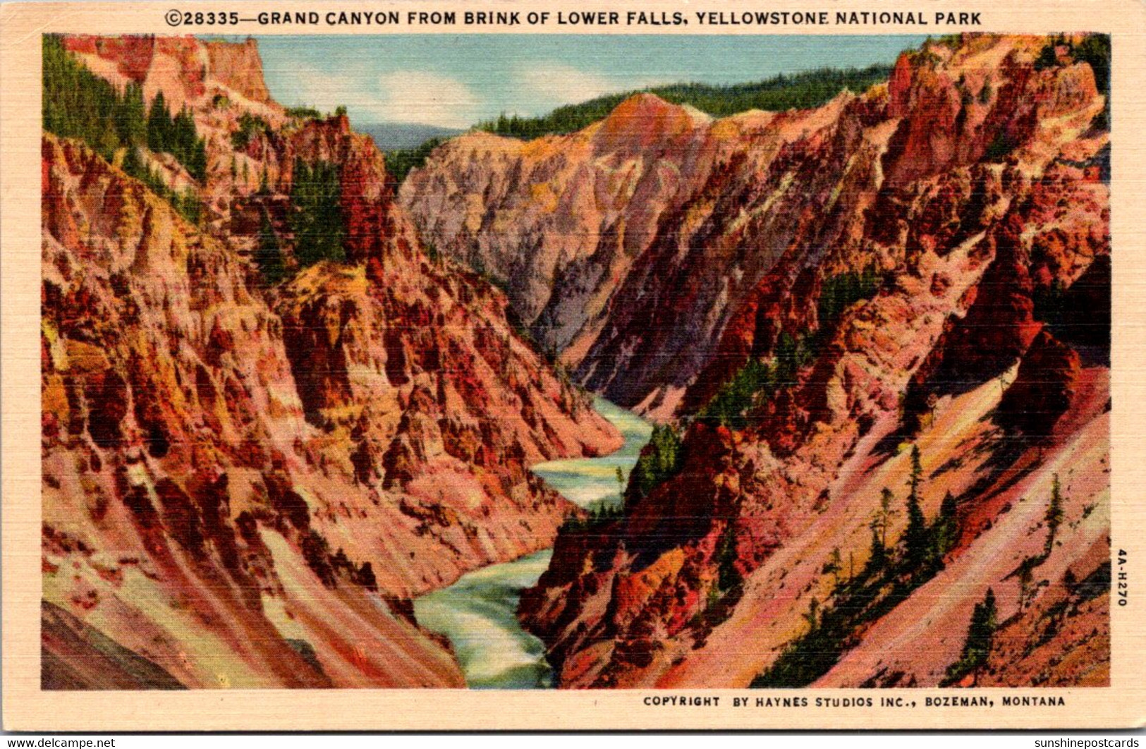 Yellowstone National Park Grand Canyon From Brink Of Lower Falls Curteich - USA Nationalparks