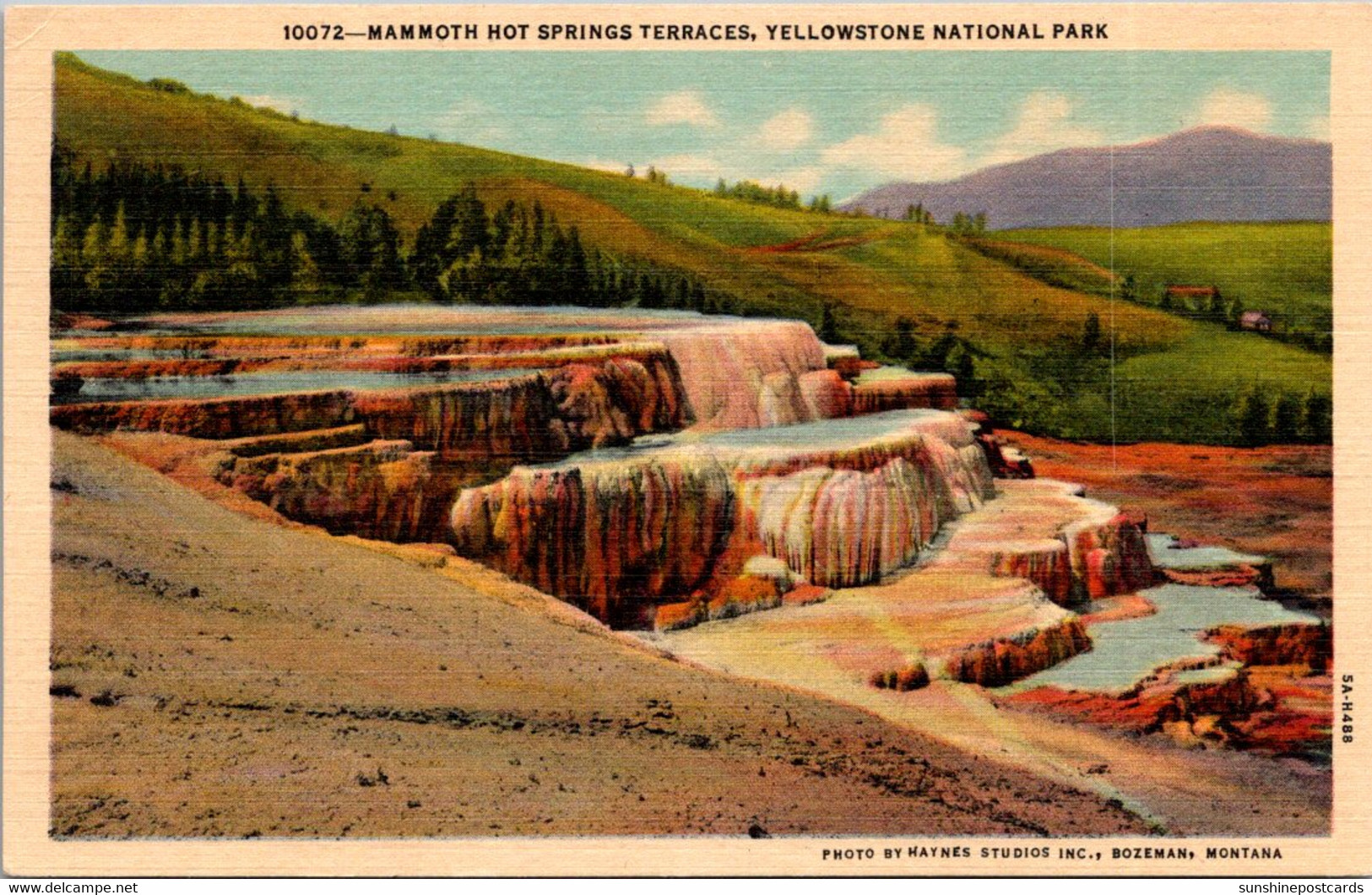 Yellowstone National Park Mammoth Hot Springs Terraces Curteich - USA Nationalparks