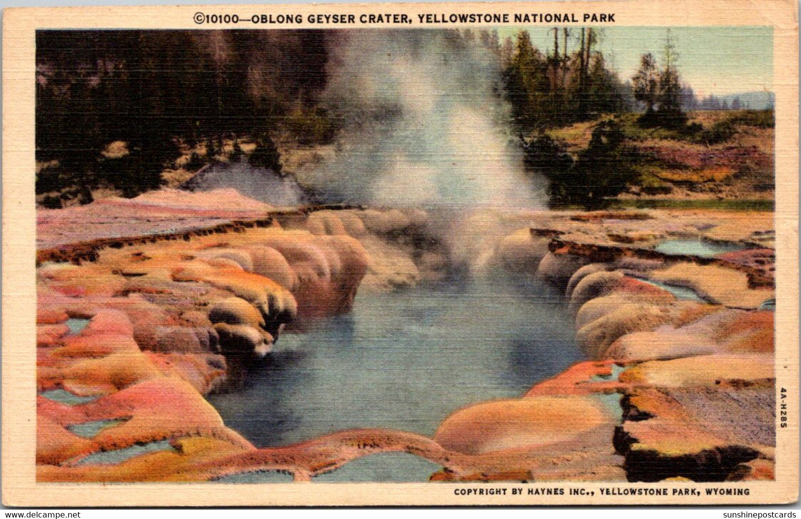 Yellowstone National Park Oblong Geyser Crater 1947 Curteich - USA Nationale Parken