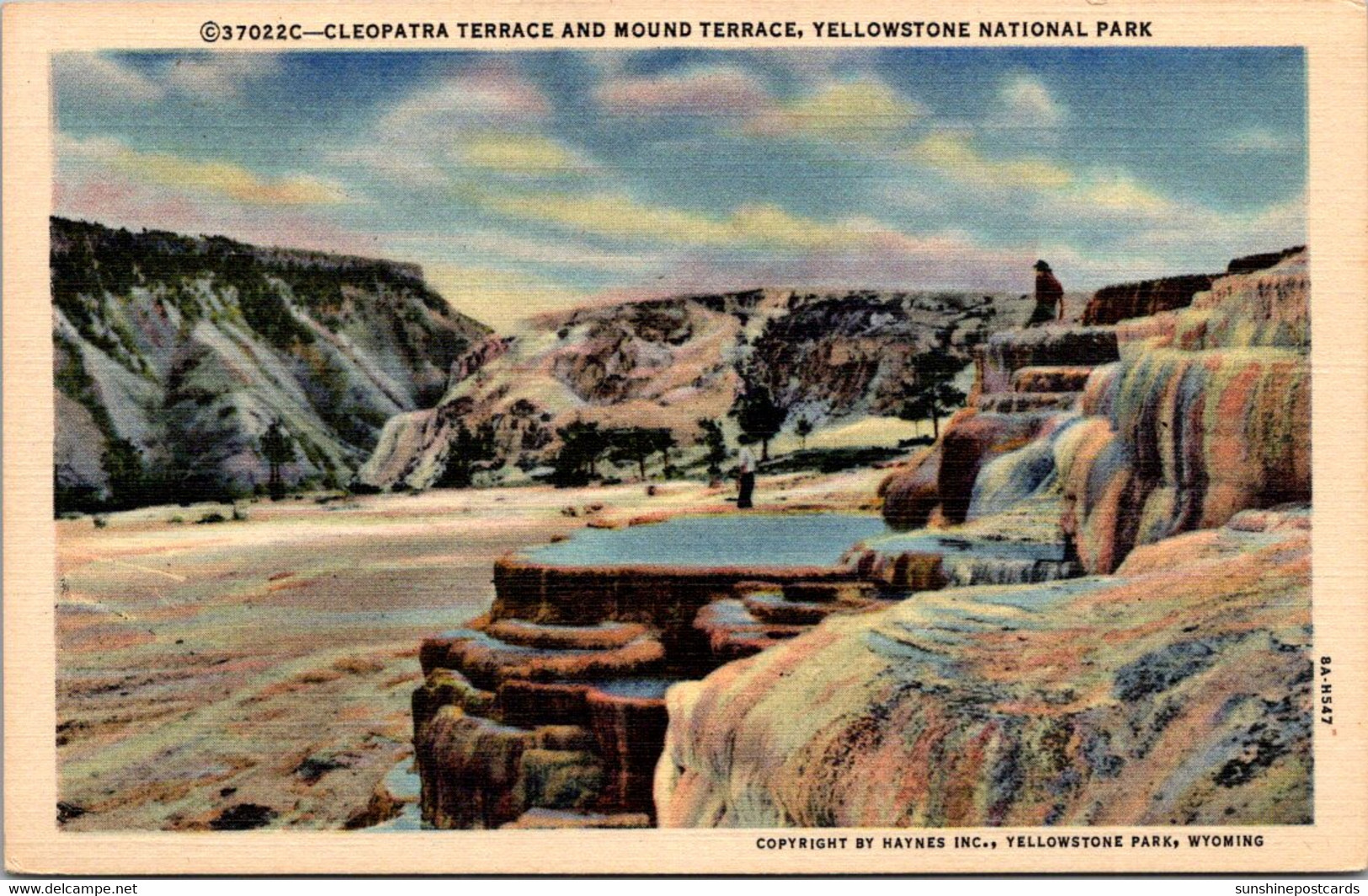 Yellowstone National Park Cleopatra Terrace And Mound Terrace Curteich - USA National Parks
