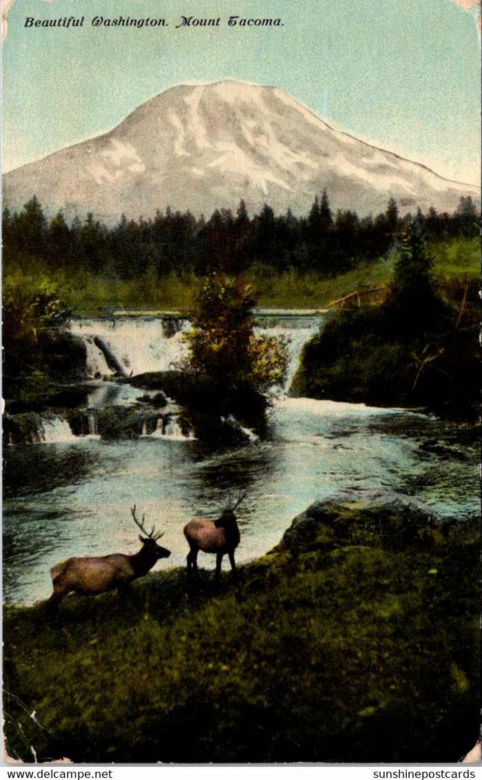 Washington Mount Tacoma 1912 Curteich - Tacoma