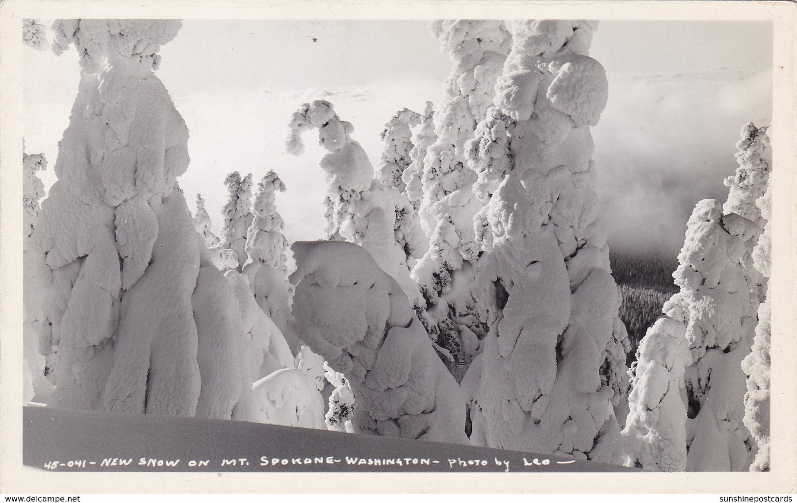 Washington New Snow On Mount Spokane Real Photo - Spokane