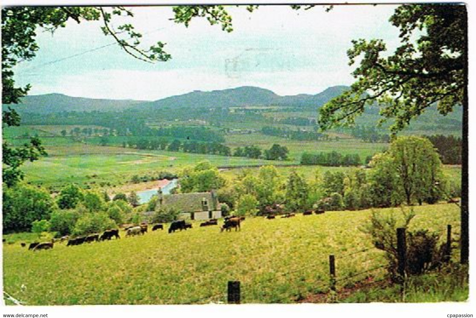 Post Card SCOTLAND-  Muir Of Ord, NEAR INVERNESS -  Circulated 1977 - Inverness-shire