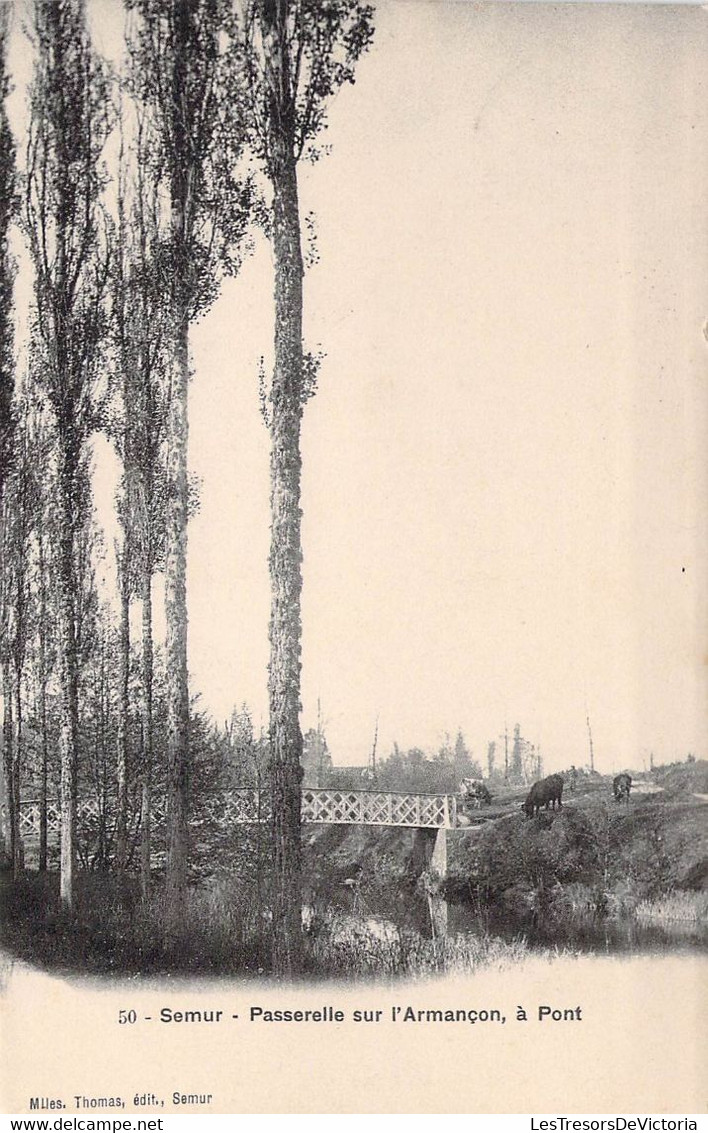 CPA - 21 - SEMUR - Passerelle Sur L'Armançon à Pont - Mlles Thomas SEMUR - Semur