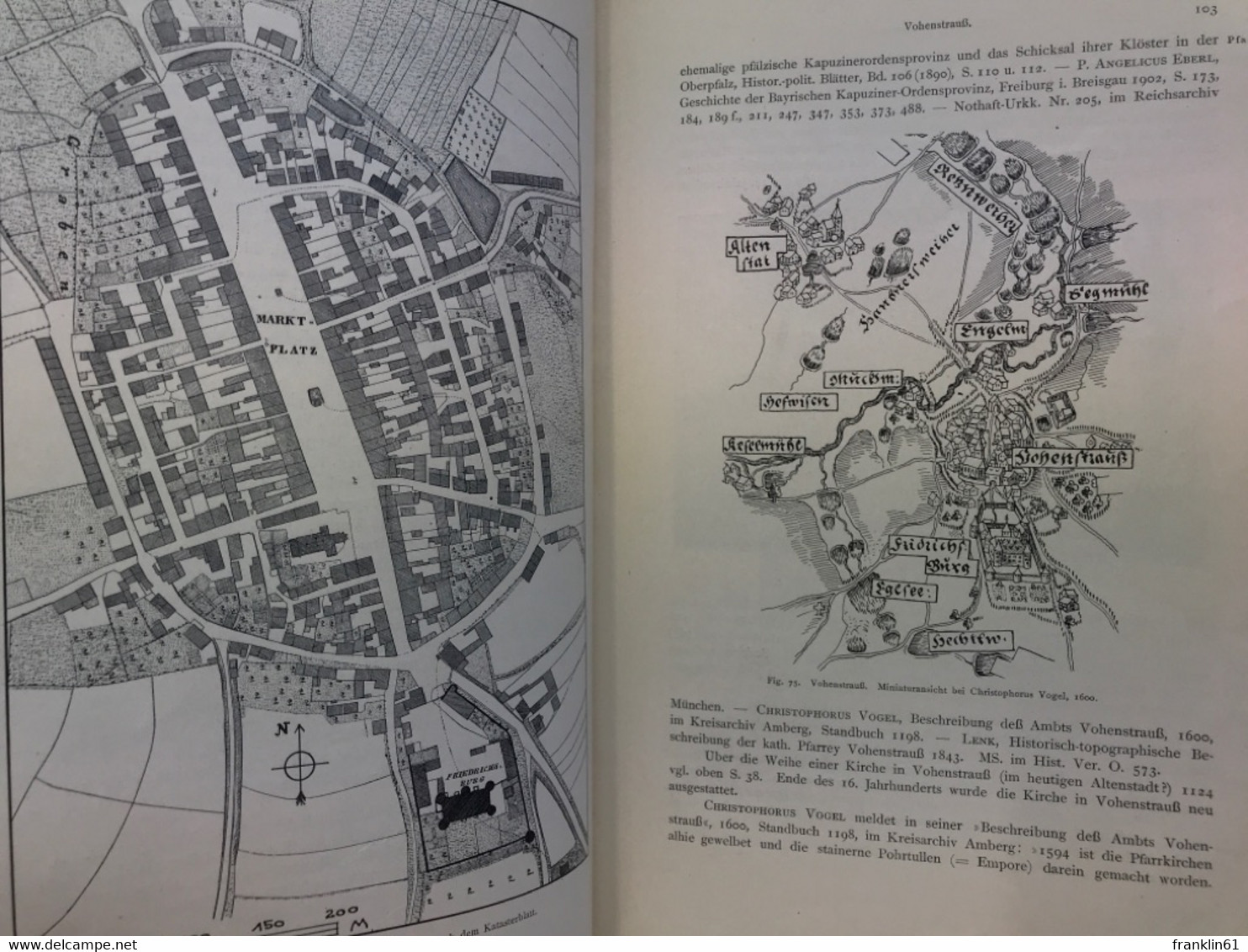 Die Kunstdenkmäler von Oberpfalz & Regensburg; Teil: H. 8., Bezirksamt Vohenstrauss.