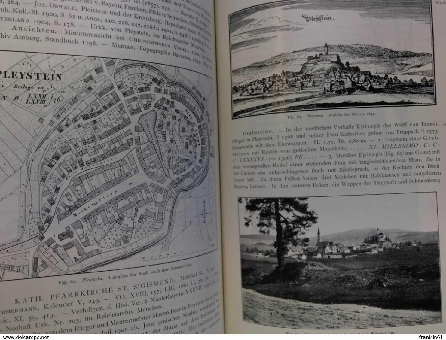 Die Kunstdenkmäler von Oberpfalz & [und] Regensburg; Teil: 8., Bezirksamt Vohenstrauss.