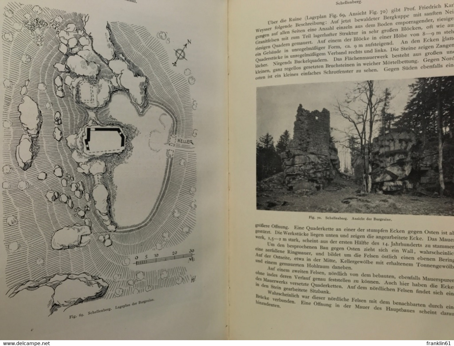 Die Kunstdenkmäler von Oberpfalz & Regensburg; Teil: H. 8., Bezirksamt Vohenstrauss.