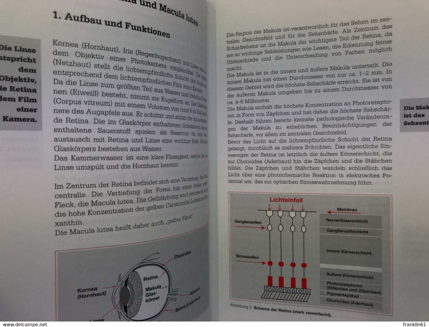 Die Bedeutung Von Mikronährstoffen Bei Seniler Katarakt, Altersabhängiger Makuladegeneration Und Diabetischer - Health & Medecine