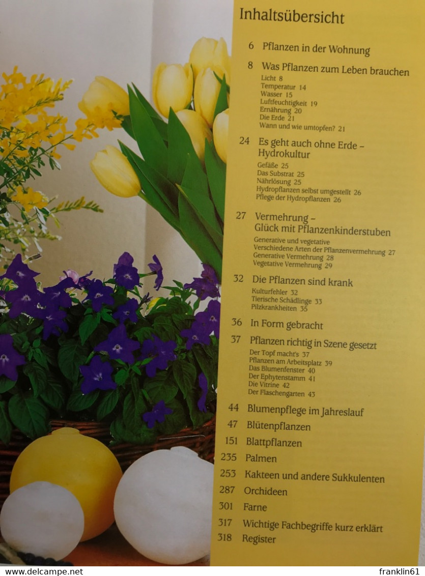 Wohnen Mit Blumen : Der Umfassende BLV-Ratgeber Für Mehr Als 500 Zimmerpflanzen. - Animaux