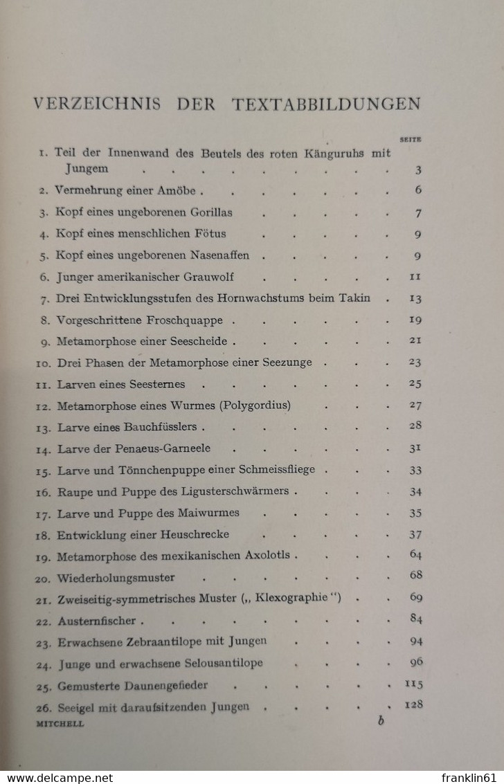 Die Kindheit Der Tiere. - Léxicos