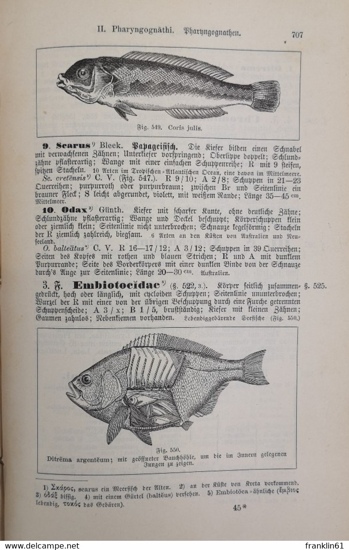 Synopsis der drei Naturreiche. Thierkunde. Ein Handbuch für höhere Lehranstalten. Erster Theil. Zoologie. Erst