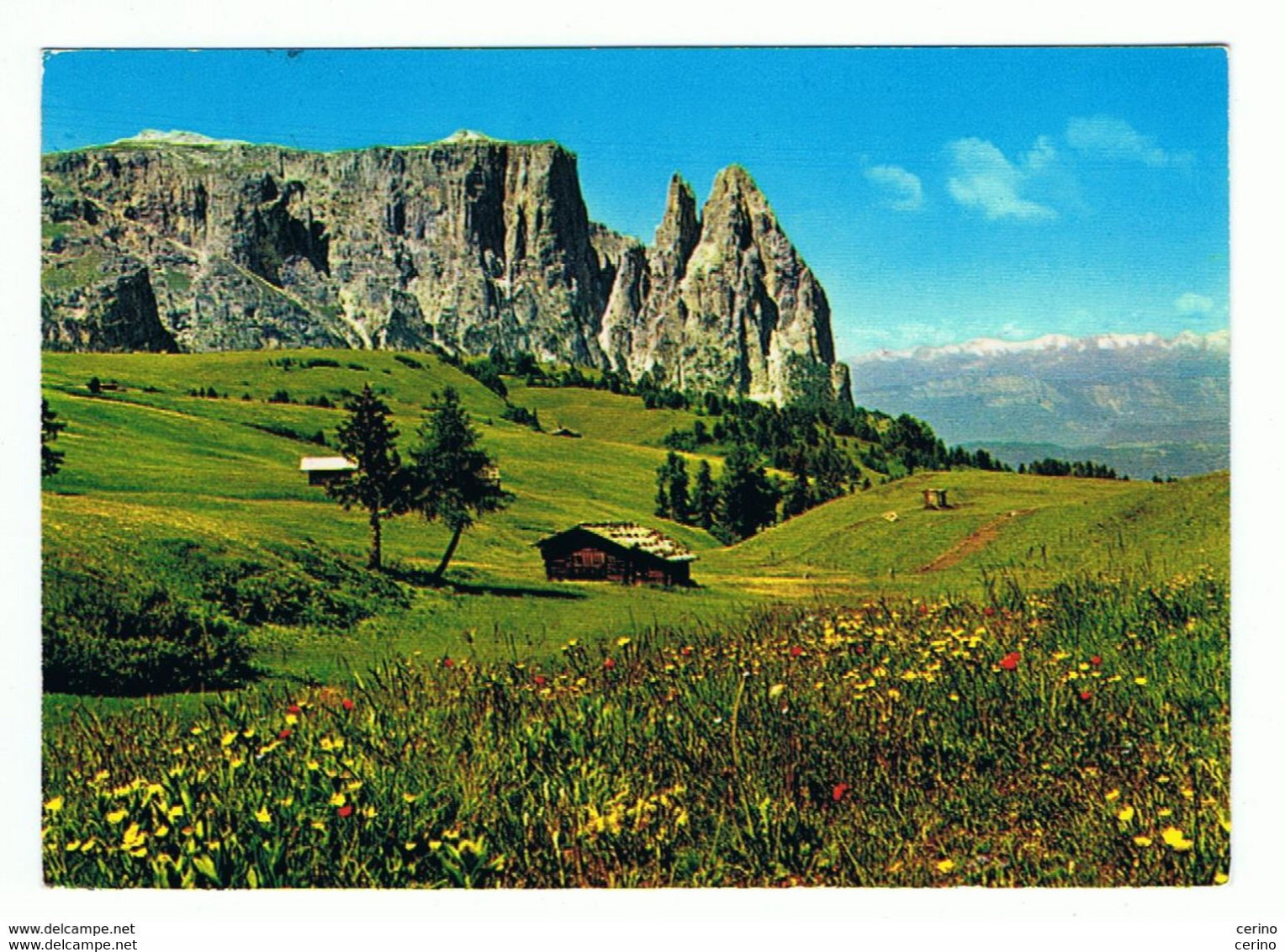 LO  SCILIAR (BZ):  ALPI  DI  SIUSI  -  PER  LA GERMANIA  -  FG - Climbing