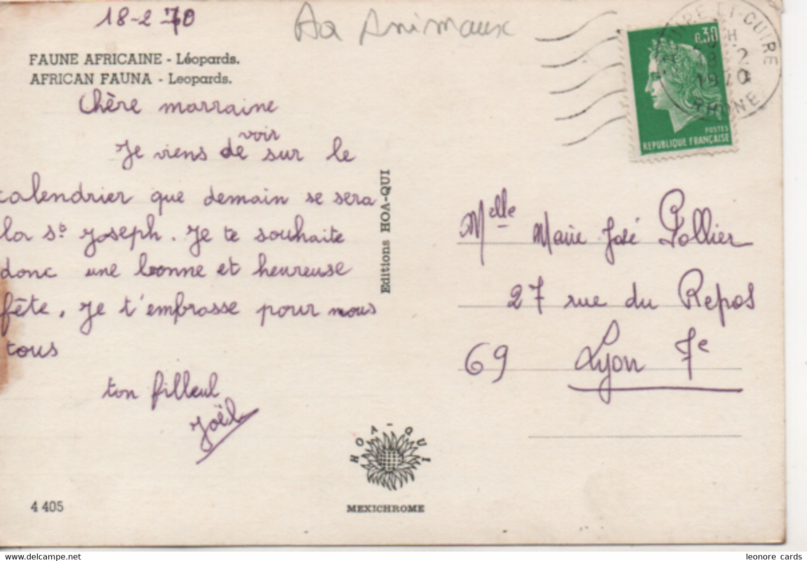 Cpa.Animaux.Faune Africaine.Léopards.1970 - Rinoceronte