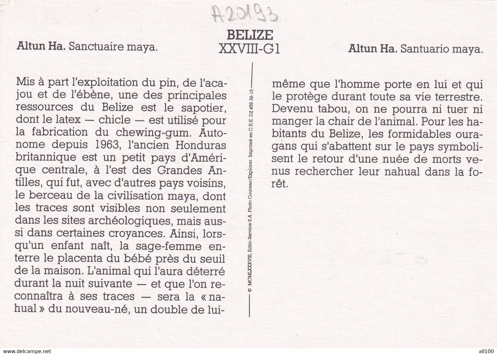 A20193 - ALTUN HA SANCTUAIRE MAYA SANTUARIO MAYA BELIZE COUREAO EXPLORER - Belize