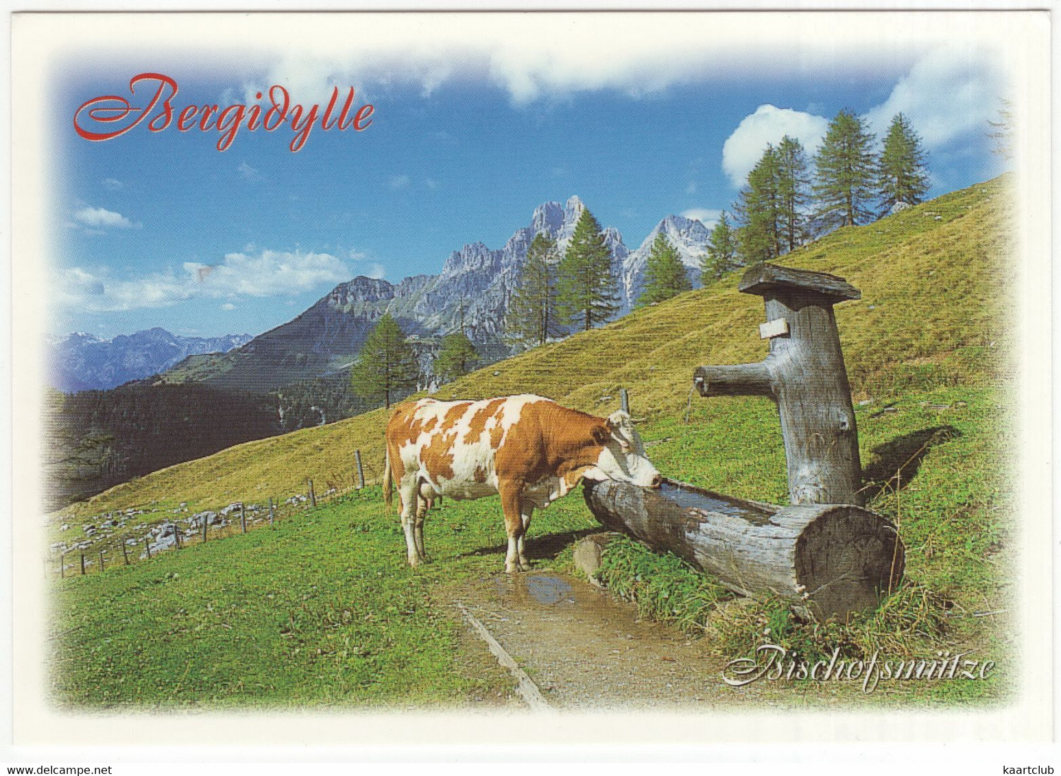 Wandergebiet Filzmoos - (Land Salzburg, Österreich/Austria) - Kuh / Cow / Koe / Vache - Filzmoos